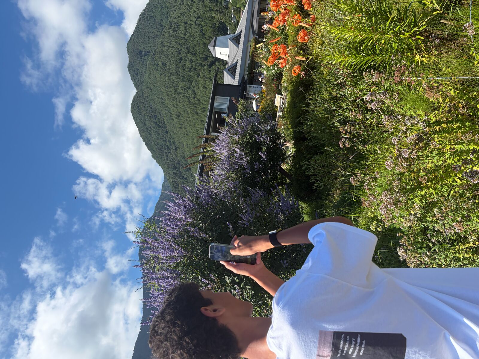 Yamanashi nature